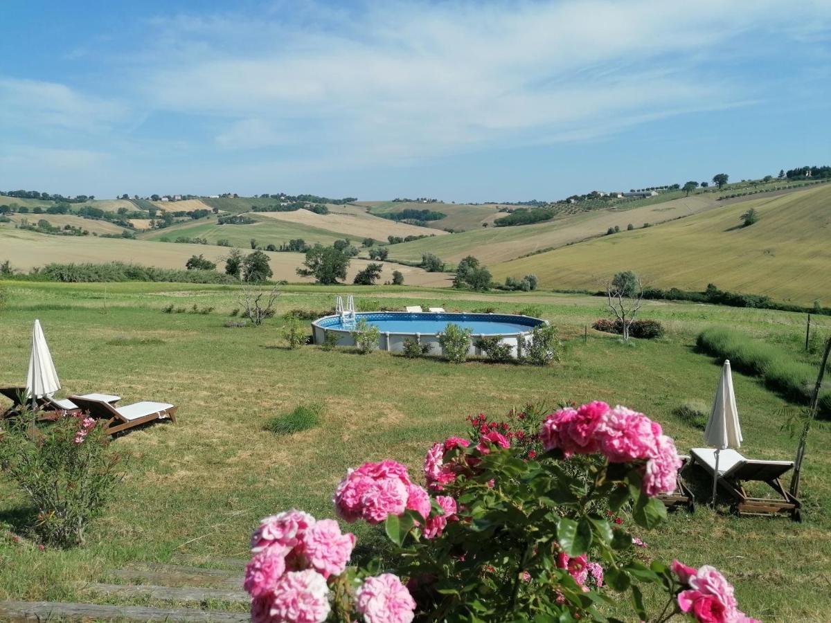 Il Giardino Nella Valle Belvedere Ostrense Екстериор снимка