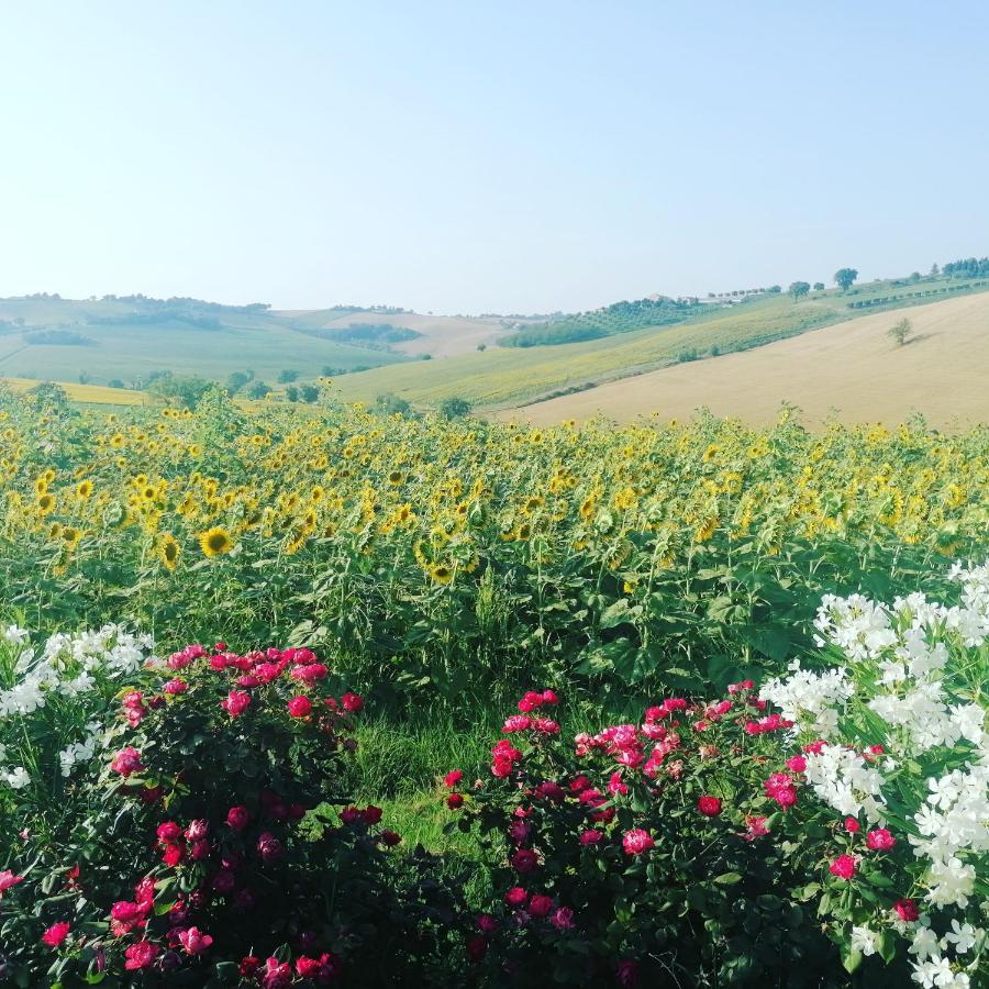 Il Giardino Nella Valle Belvedere Ostrense Екстериор снимка
