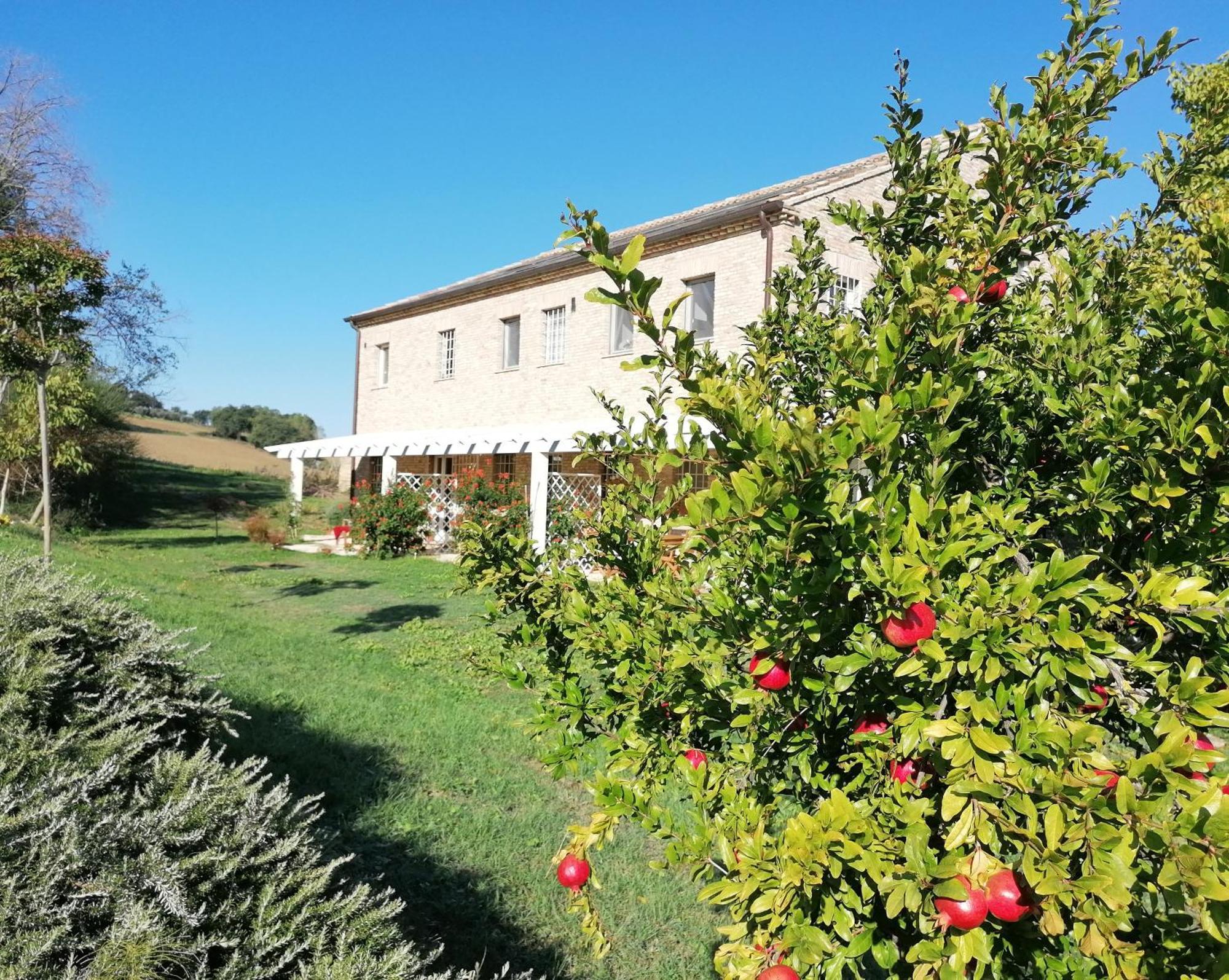 Il Giardino Nella Valle Belvedere Ostrense Екстериор снимка